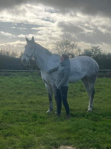 WINTER DRESSAGE QUALIFIER